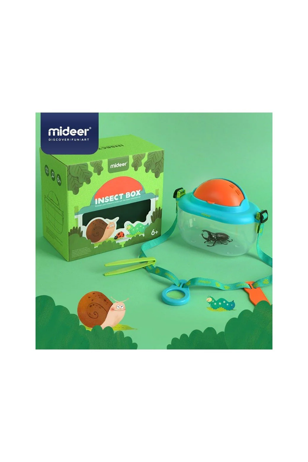 Insect Box - Image 3