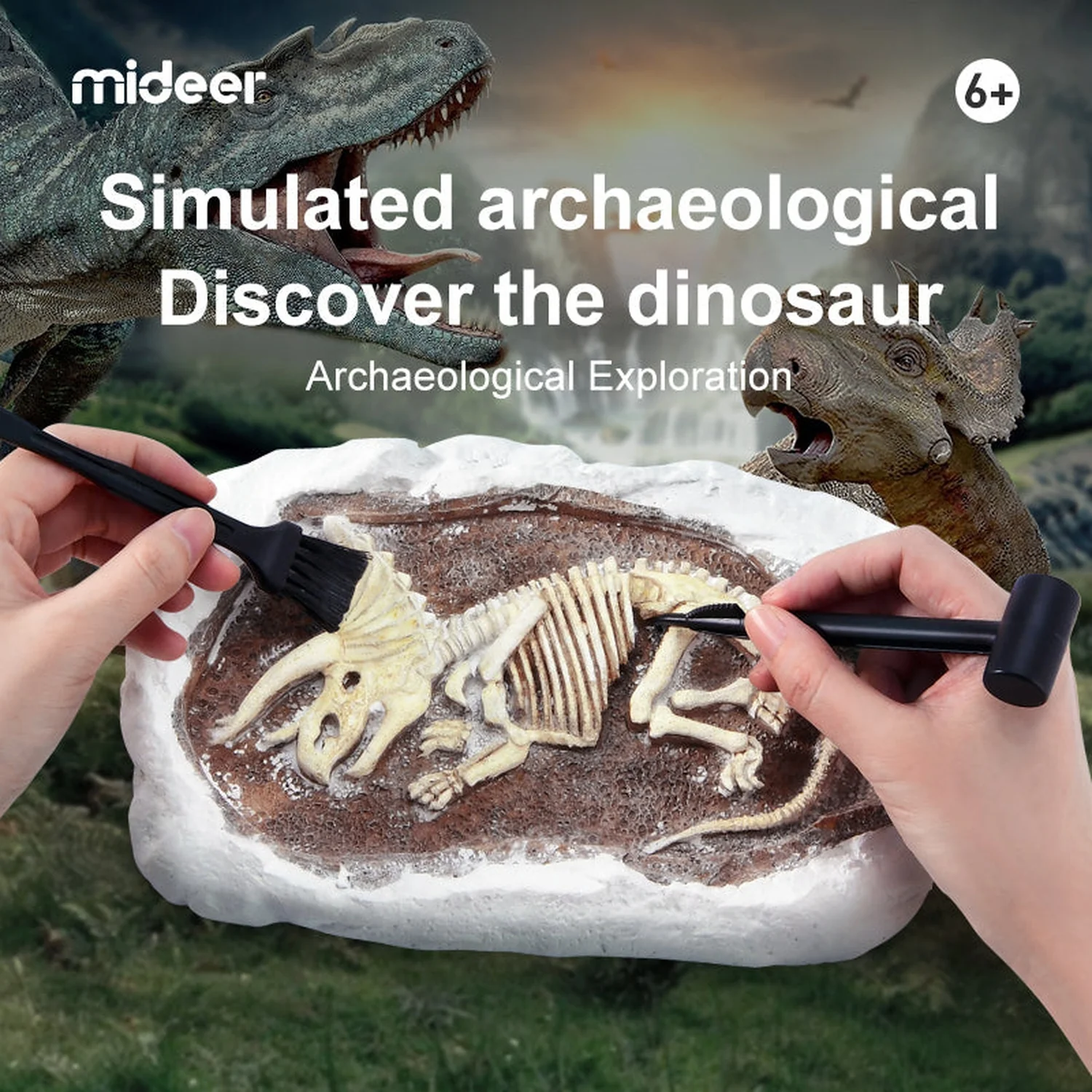 Revive A Pterosaur - Dig A Dinosaur Kit - Image 5
