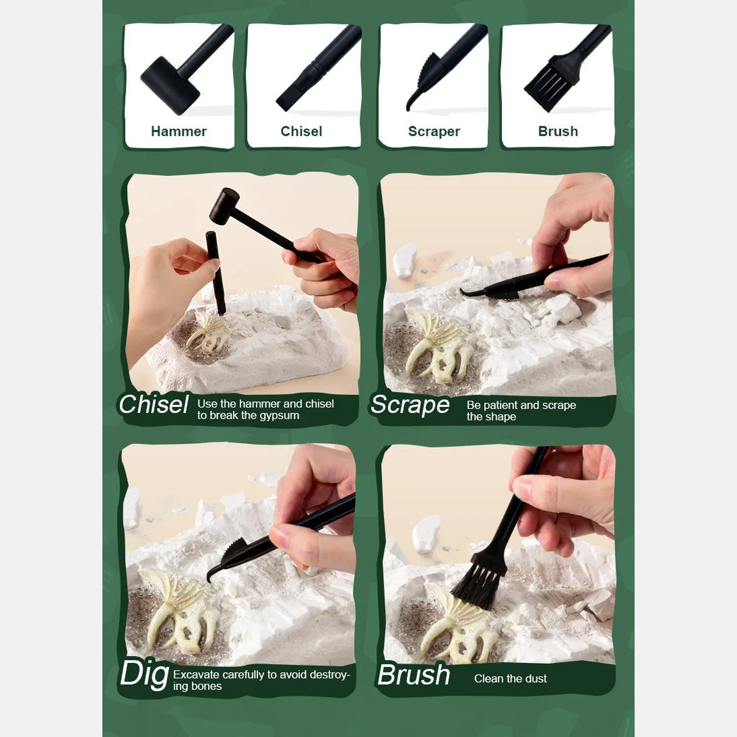 Revive A Pterosaur - Dig A Dinosaur Kit - Image 6