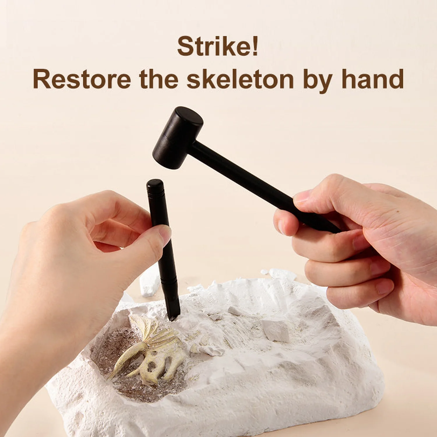 Revive A Pterosaur - Dig A Dinosaur Kit - Image 7