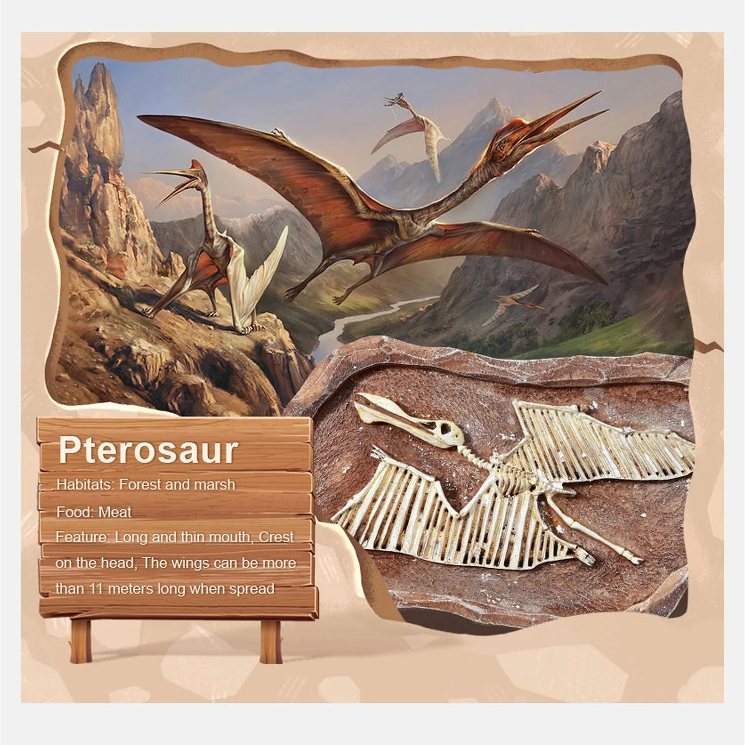 Revive A Pterosaur - Dig A Dinosaur Kit - Image 9